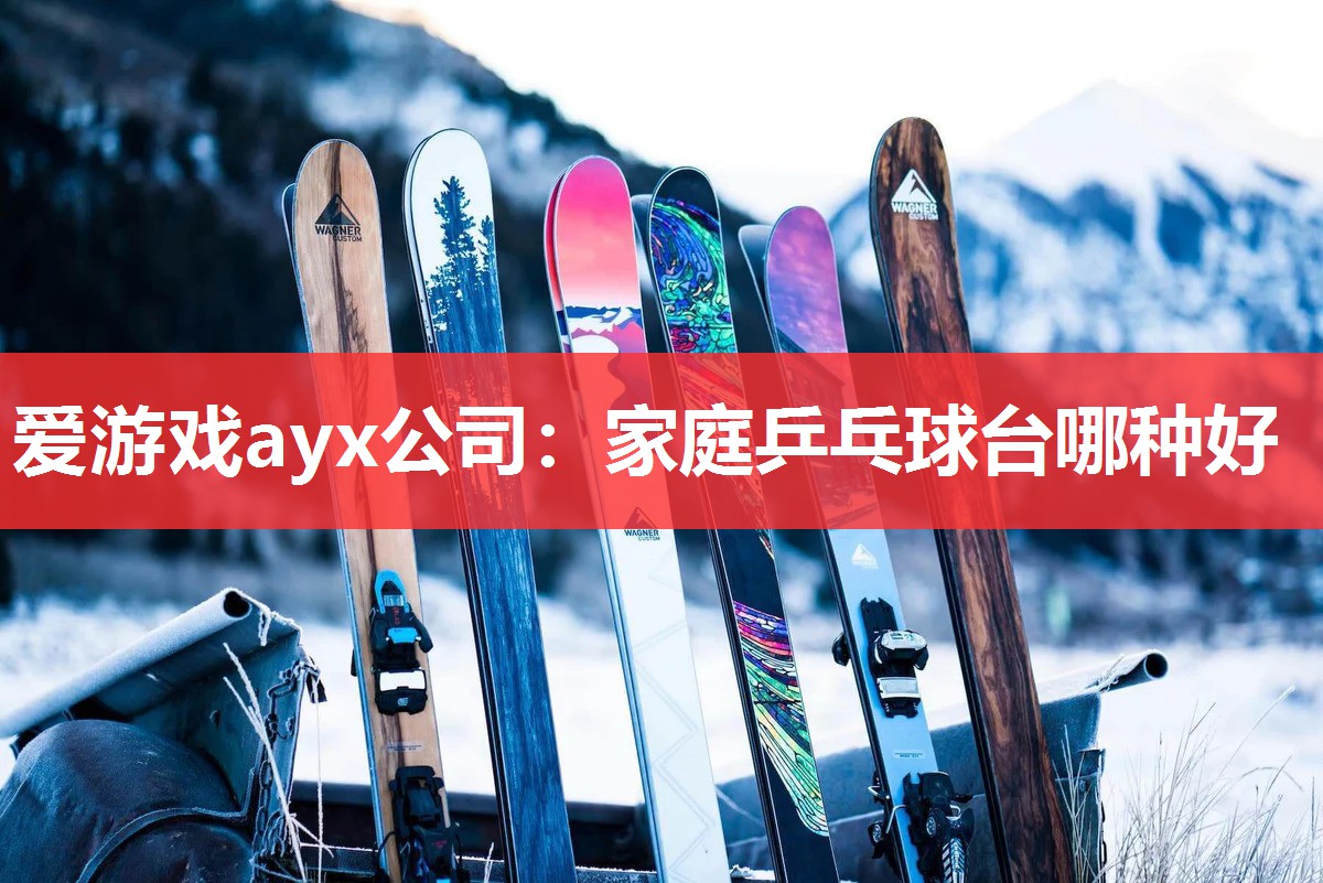 爱游戏ayx公司：家庭乒乓球台哪种好