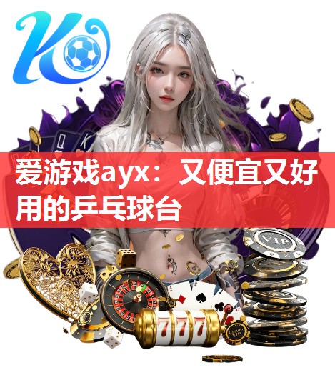 爱游戏ayx：又便宜又好用的乒乓球台