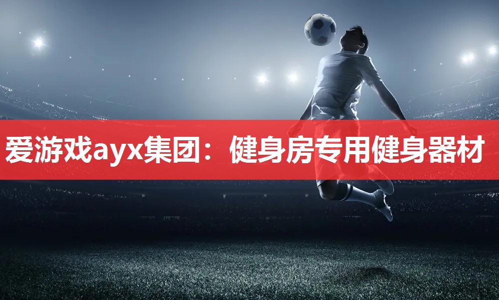 爱游戏ayx集团：健身房专用健身器材