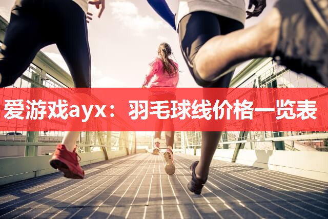 爱游戏ayx：羽毛球线价格一览表