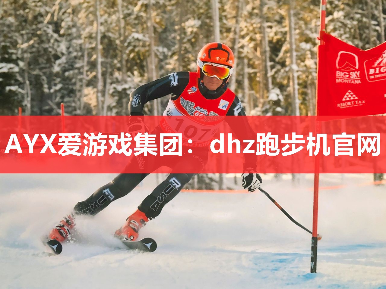 dhz跑步机官网